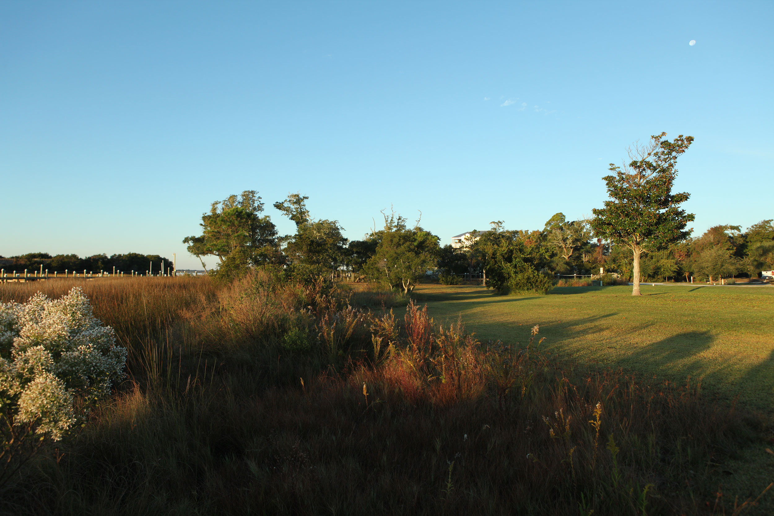 Diamond Point coastal lawn